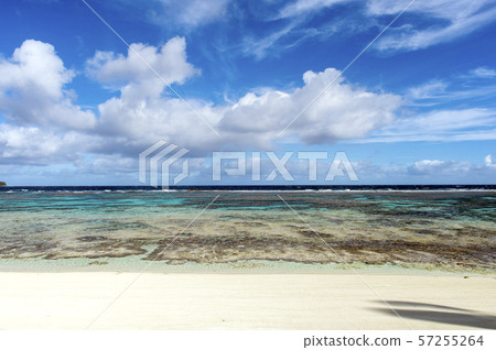 新喀裡多尼亞Loyalty Islands雄島珊瑚礁在Wabao灣 57255264