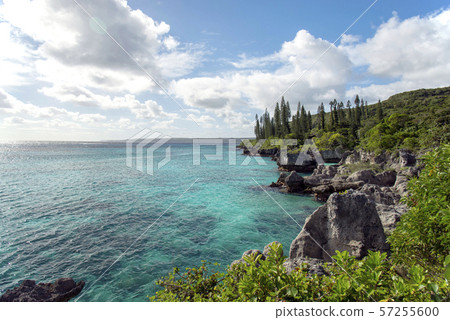 新喀裡多尼亞Loyalty Islands男島Peje海灘 新喀裡多尼亞Loyalty Islands男島Peje海灘 57255600