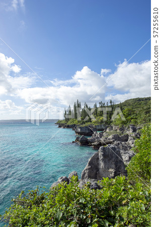 新喀裡多尼亞Loyalty Islands男島Peje海灘 新喀裡多尼亞Loyalty Islands男島Peje海灘 57255610