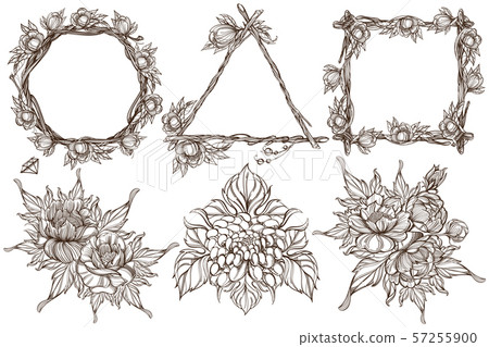 Botanical graphics. Peonies. A set of illustrations with blossoming flowers and beautiful frames Botanical graphics. Peonies. A set of illustrations with blossoming flowers and beautiful frames 57255900