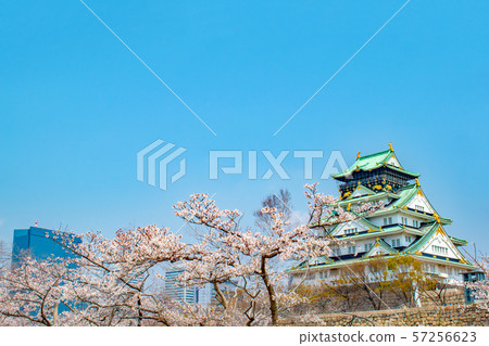 大阪在春天大阪城堡城堡塔和摩天大樓 57256623