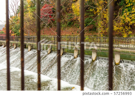 第二琵琶湖 57256993