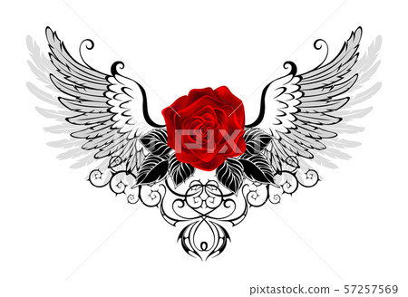 Angel red rose Angel red rose 57257569