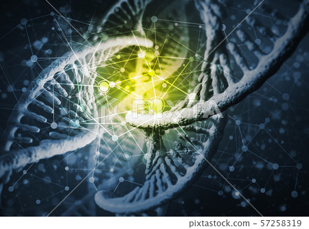 DNA molecules background DNA molecules background 57258319