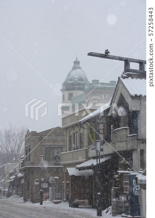 Snow Kawagoe Snow Kawagoe 57258443