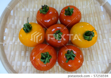 Tomato Tomato 57258594