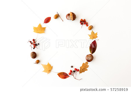 autumn leaves, chestnuts, acorns and berries frame 57258919