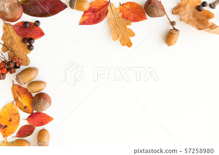 autumn leaves, chestnuts, acorns and berries frame 57258980