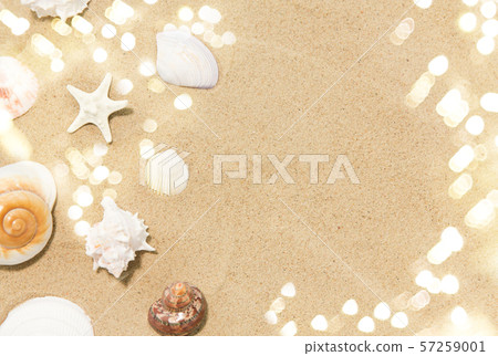 seashells on beach sand seashells on beach sand 57259001