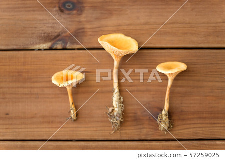 chanterelles on wooden background chanterelles on wooden background 57259025