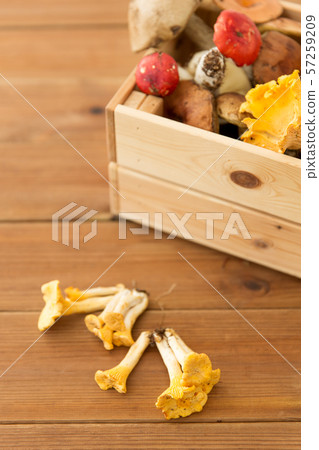 wooden box of different edible mushrooms 57259209
