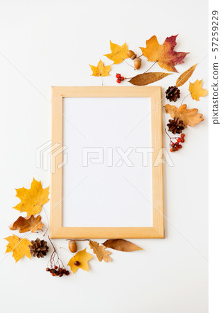 autumn fruits and picture frame or whiteboard autumn fruits and picture frame or whiteboard 57259229