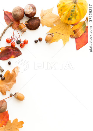 autumn leaves, chestnuts, acorns and berries frame autumn leaves, chestnuts, acorns and berries frame 57259257