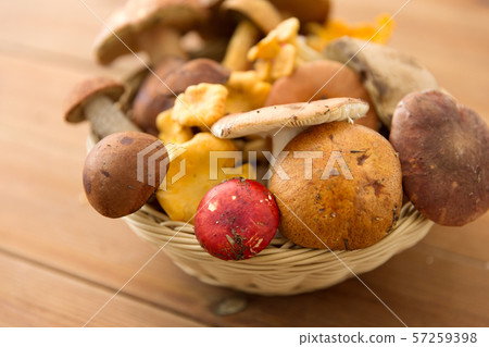 basket of different edible mushrooms on wood basket of different edible mushrooms on wood 57259398