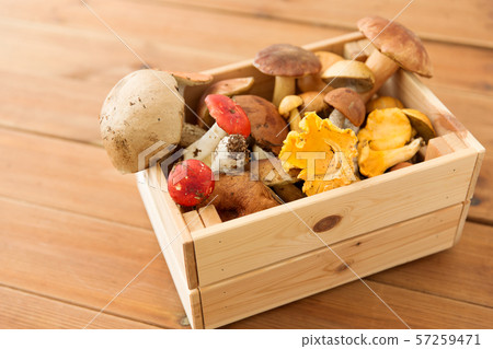 wooden box of different edible mushrooms 57259471