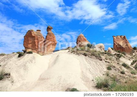 Camel rock at Devrent valley, Cappadocia, 57260193