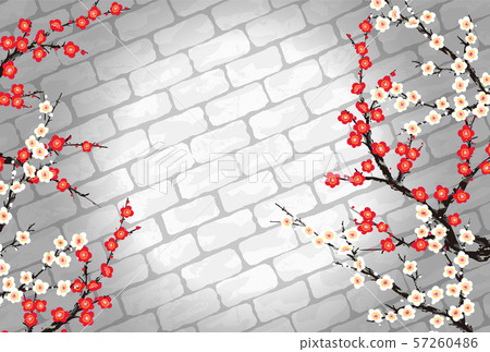 石路面李子 石路面李子 57260486