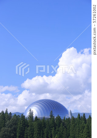 Dinosaur Museum Dinosaur Museum 57261002