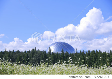 Dinosaur Museum 57261004