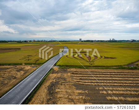 Yilan paddy field Avenue 57261025