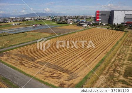 完成大型倉庫 57261190