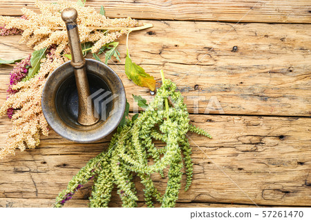 Amaranth and herbal medicine 57261470
