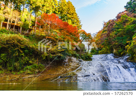 Autumn image of Japan: Scenery of Takimata Falls, a famous place in the Yoro Valley, a famous spot for autumn leaves in the Tokyo metropolitan area and a symbol of Chiba 57262570