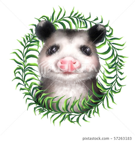 Portrait of Opossum in grass 57263183