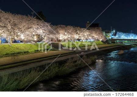 Oyabe Park Park Senbonzakura Oyabe Park Park Senbonzakura 57264468