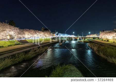 Oyabe Park Park Senbonzakura 57264469
