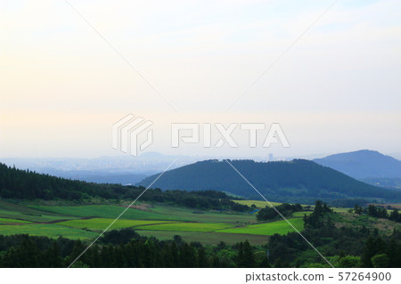 綠色大麥領域，農業，領域，領域 57264900