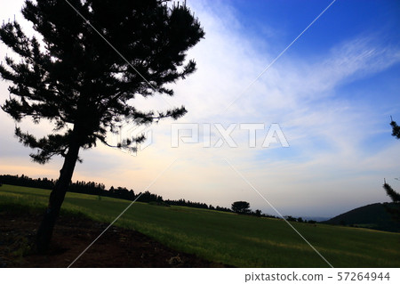 綠色大麥領域,農業,領域,領域 綠色大麥領域,農業,領域,領域 57264944
