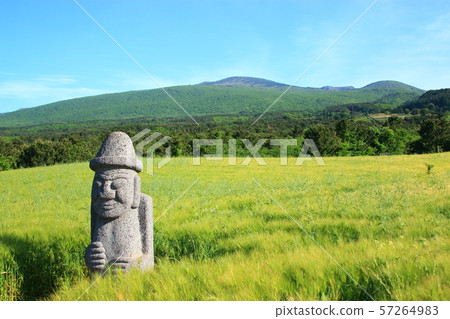 綠色大麥領域，農業，領域，領域 57264983