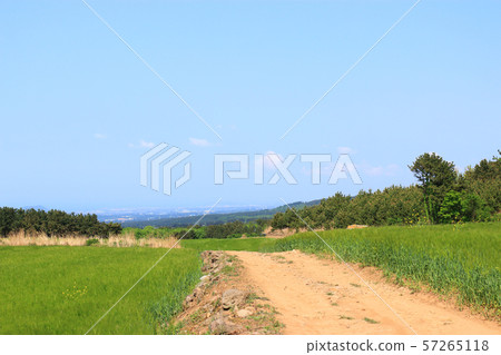 綠色大麥領域，農業，領域，領域 57265118