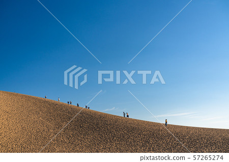 <Tottori Prefecture> Tottori Sand Dunes / Early Morning <Tottori Prefecture> Tottori Sand Dunes / Early Morning 57265274