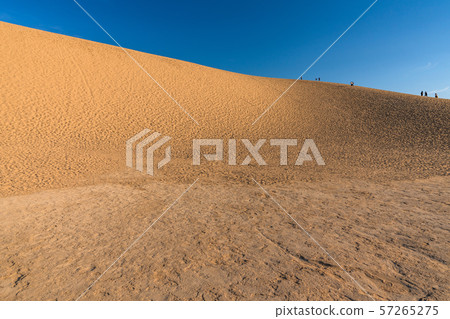 <Tottori Prefecture> Tottori Sand Dunes / Early Morning <Tottori Prefecture> Tottori Sand Dunes / Early Morning 57265275