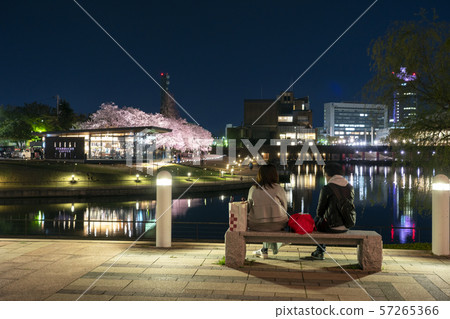 Toiwa Canal Kansui Park的夜櫻花 57265366