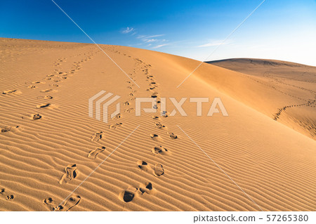 《Tottori prefecture》Tottori sand dunes 57265380