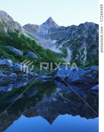 Spider and star 57266489