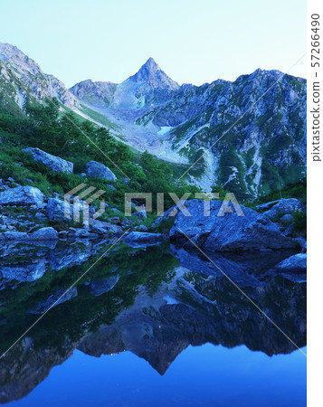 Spider and star 57266490