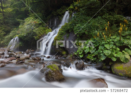 [Yamanashi Prefecture] Kawamata Valley 57268472