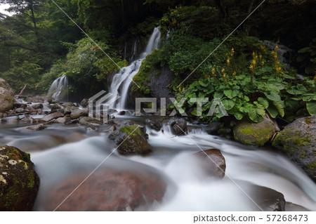 [Yamanashi Prefecture] Kawamata Valley 57268473