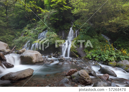 [Yamanashi Prefecture] Kawamata Valley 57268478