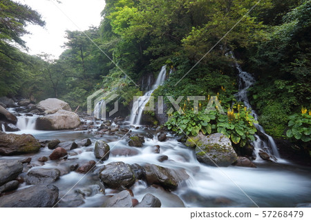 [Yamanashi Prefecture] Kawamata Valley 57268479