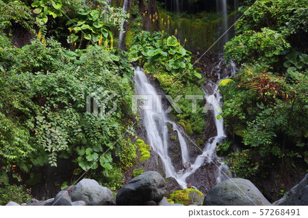 [Yamanashi Prefecture] Kawamata Valley 57268491