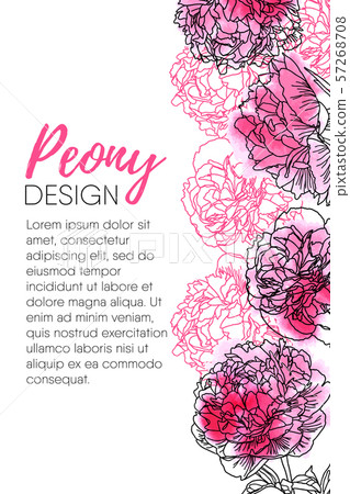 Floral background with watercolor peonies isolated on white. 57268708