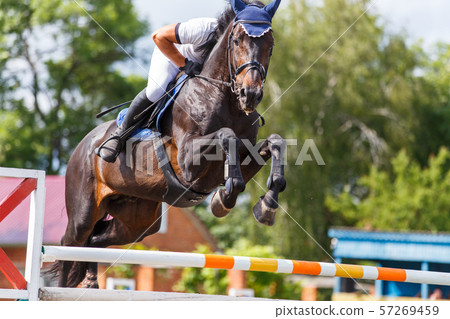 Young male horse rider on show jumping competition Young male horse rider on show jumping competition 57269459