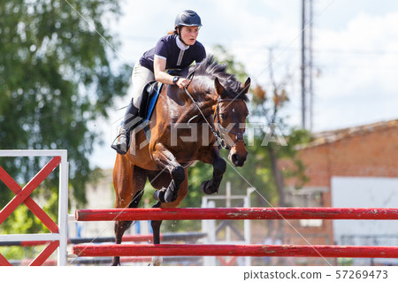 Horse rider woman on show jumping competition 57269473