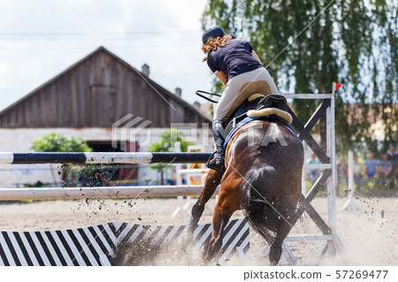 Disobedience of horse on show jumping competition Disobedience of horse on show jumping competition 57269477