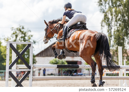 Horse rider woman on show jumping competition 57269524